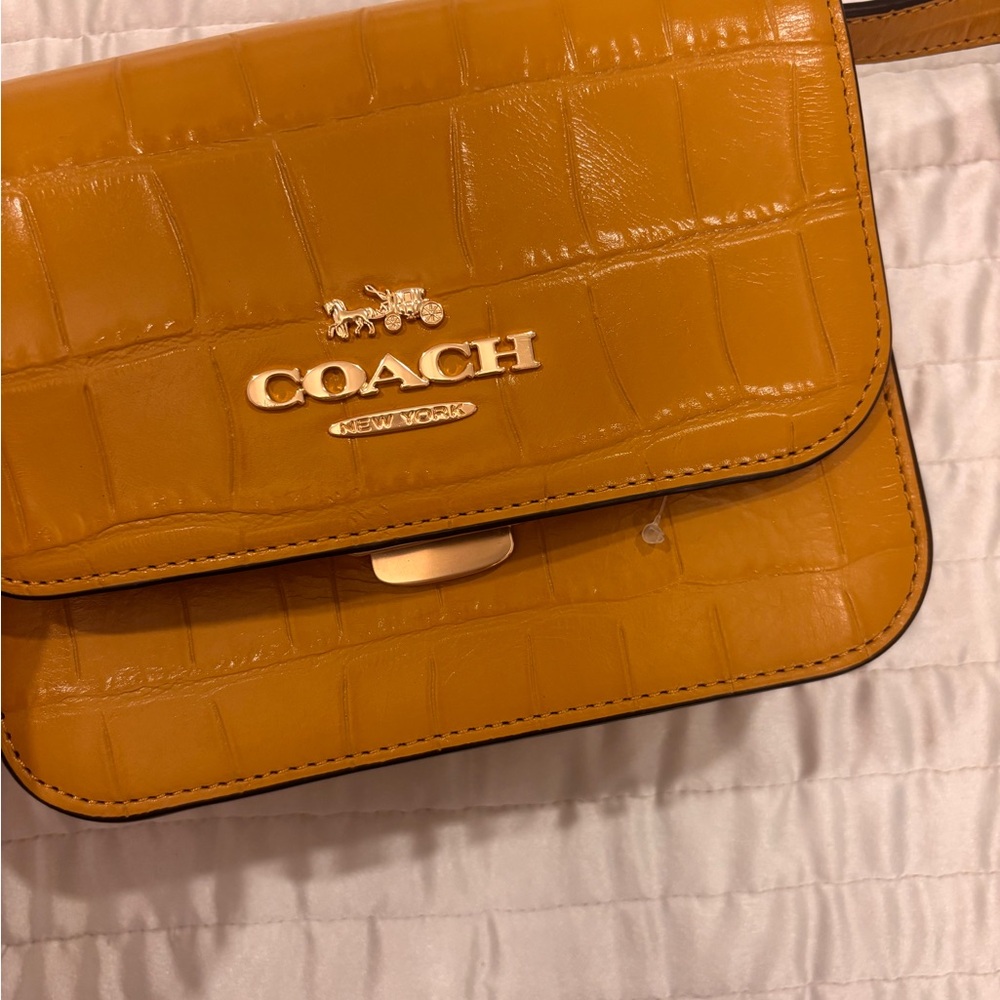 For Nicole only

Coach Mustard Croc-Embossed Crossbody Bag